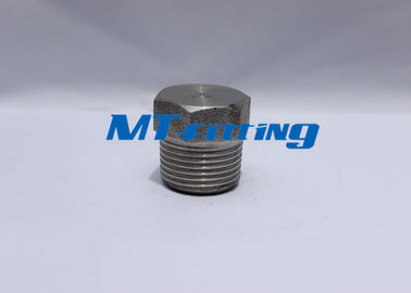 A234 A403 Forged High Pressure Pipe Fittings , Stainless Steel Hex Head Plug Threaded End